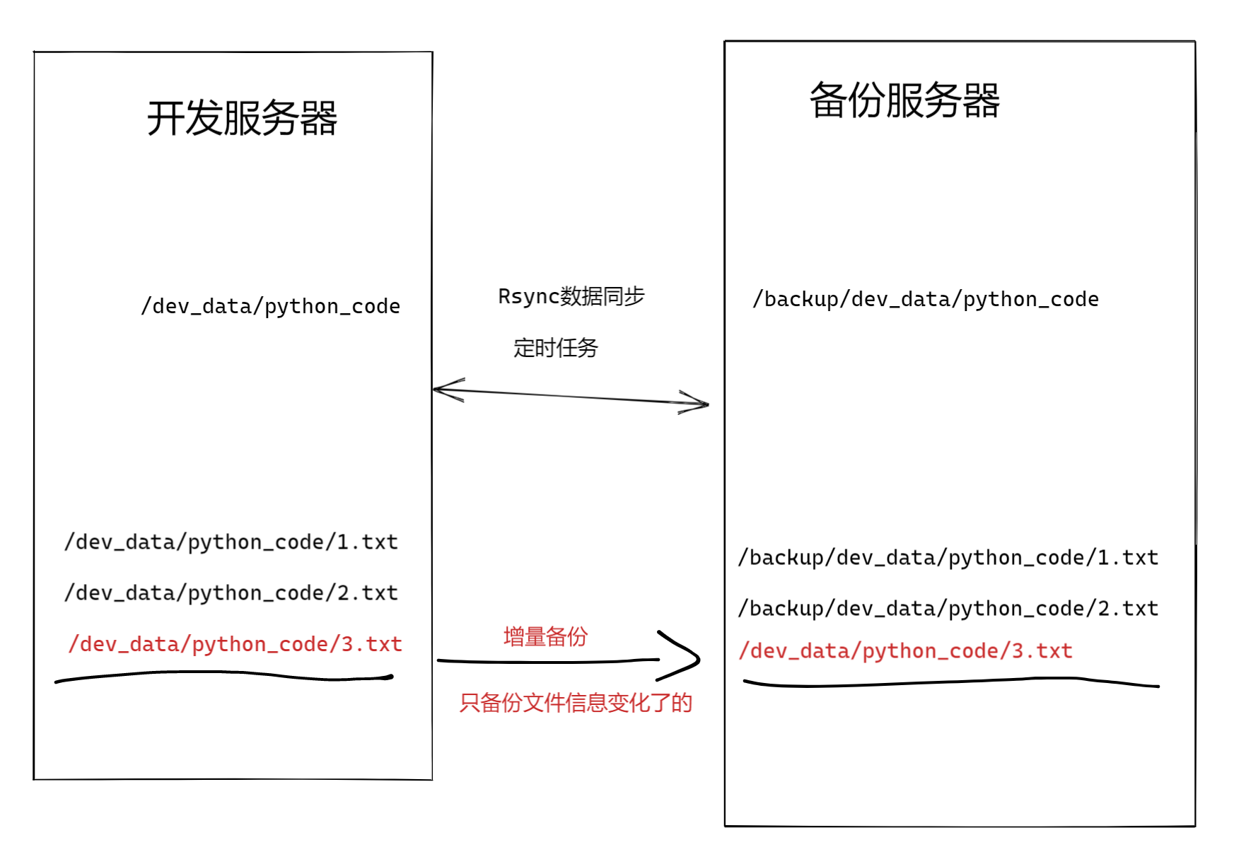 image-20220211194205966